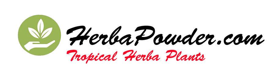 the best herba powder from Indonesia