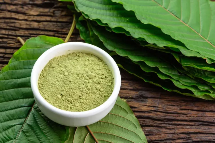 Top 10 Kratom Leaf Powder Benefits for Energy, Focus, and Wellness